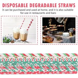Festive Disposable Degradable Straws - Red, Green, White, Christmas